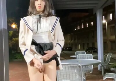 ZXuky Trans 23