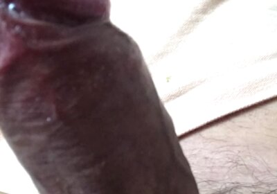 My Favorite Cocks