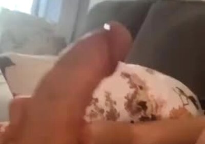 Pau dos sonhos